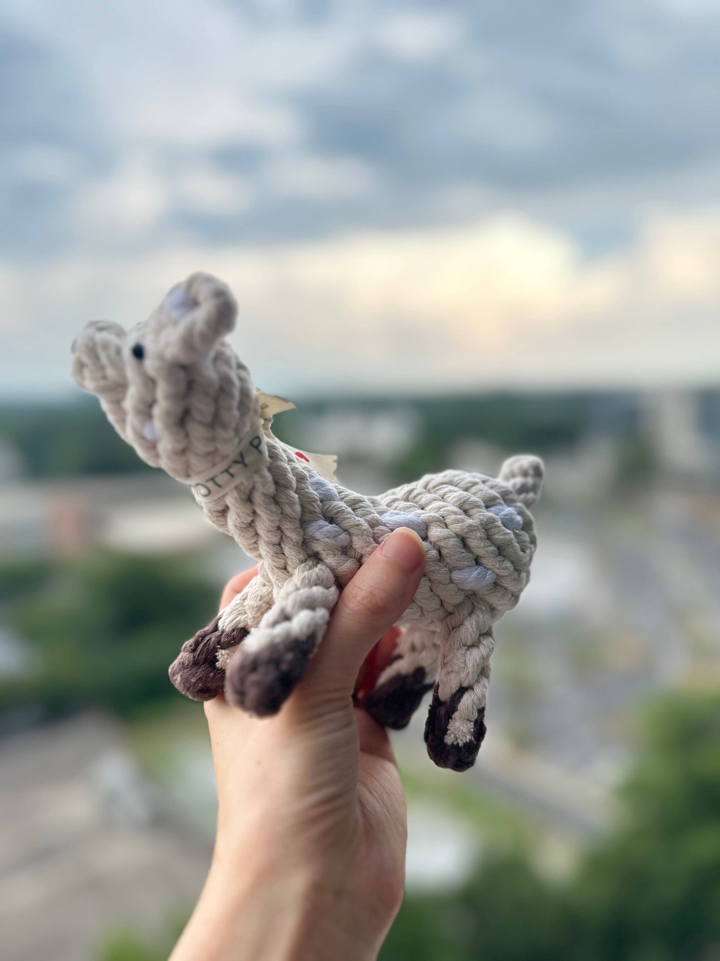 Happy Llama Dog Toy | Toys For Small and Medium Dogs