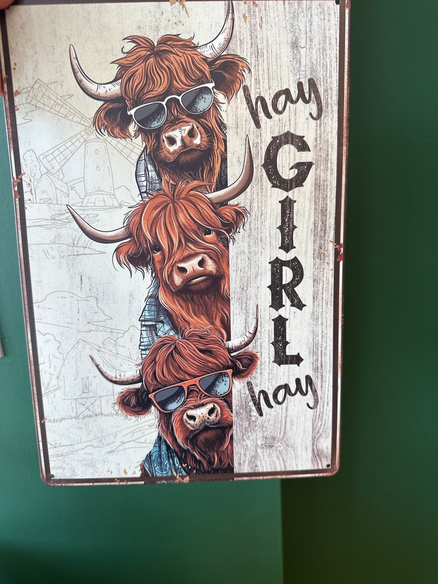 Hay Girl Hay tin sign