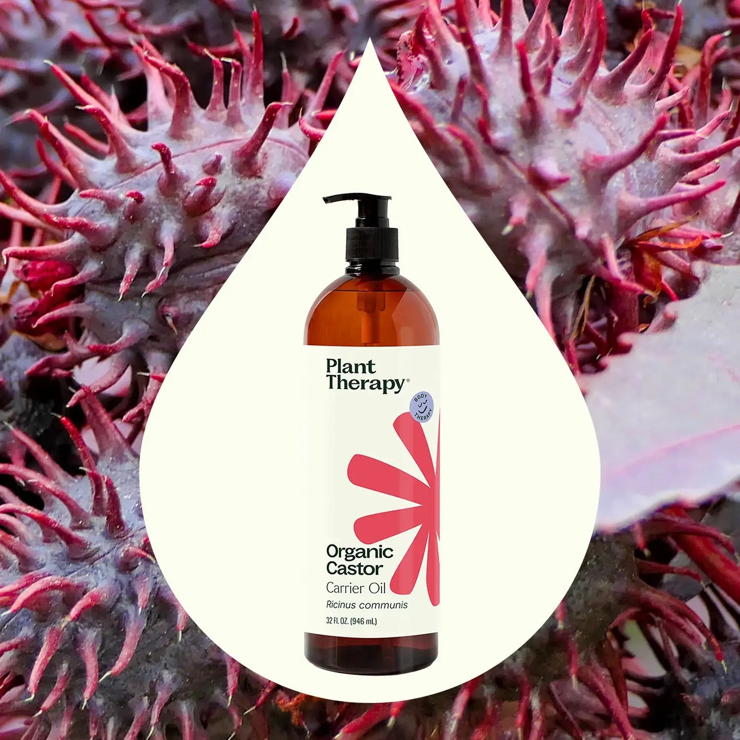 Organic Castor Oil Hair and Body Oil 32 oz