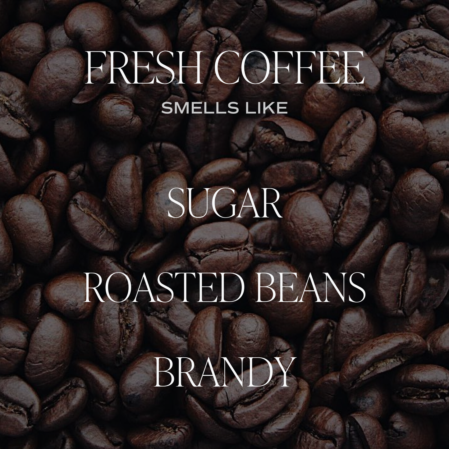 Fresh Coffee 12 oz Soy Candle - Home Decor & Gifts