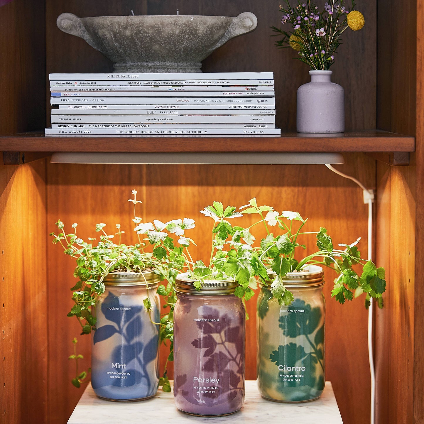 Herb Garden Jar: Basil