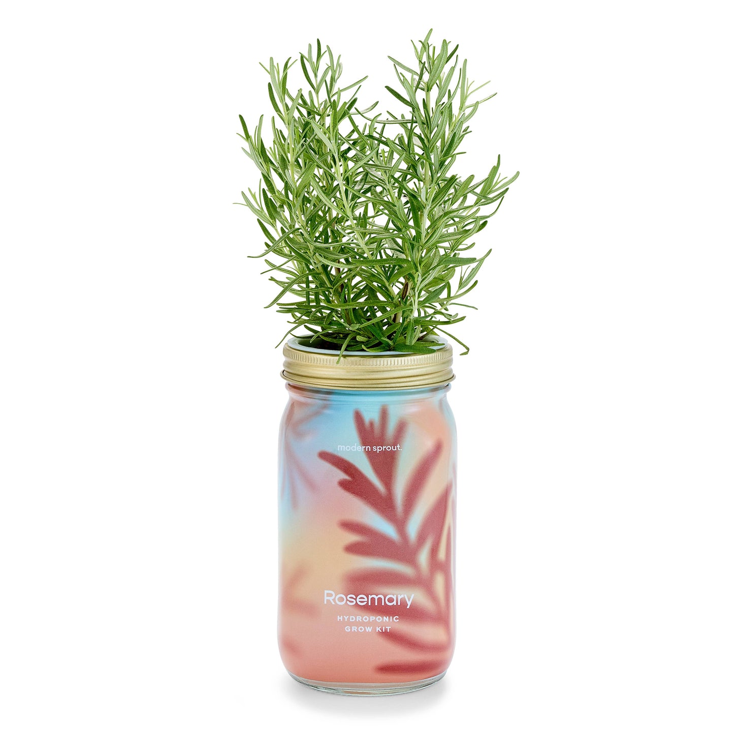 Herb Garden Jar: Basil