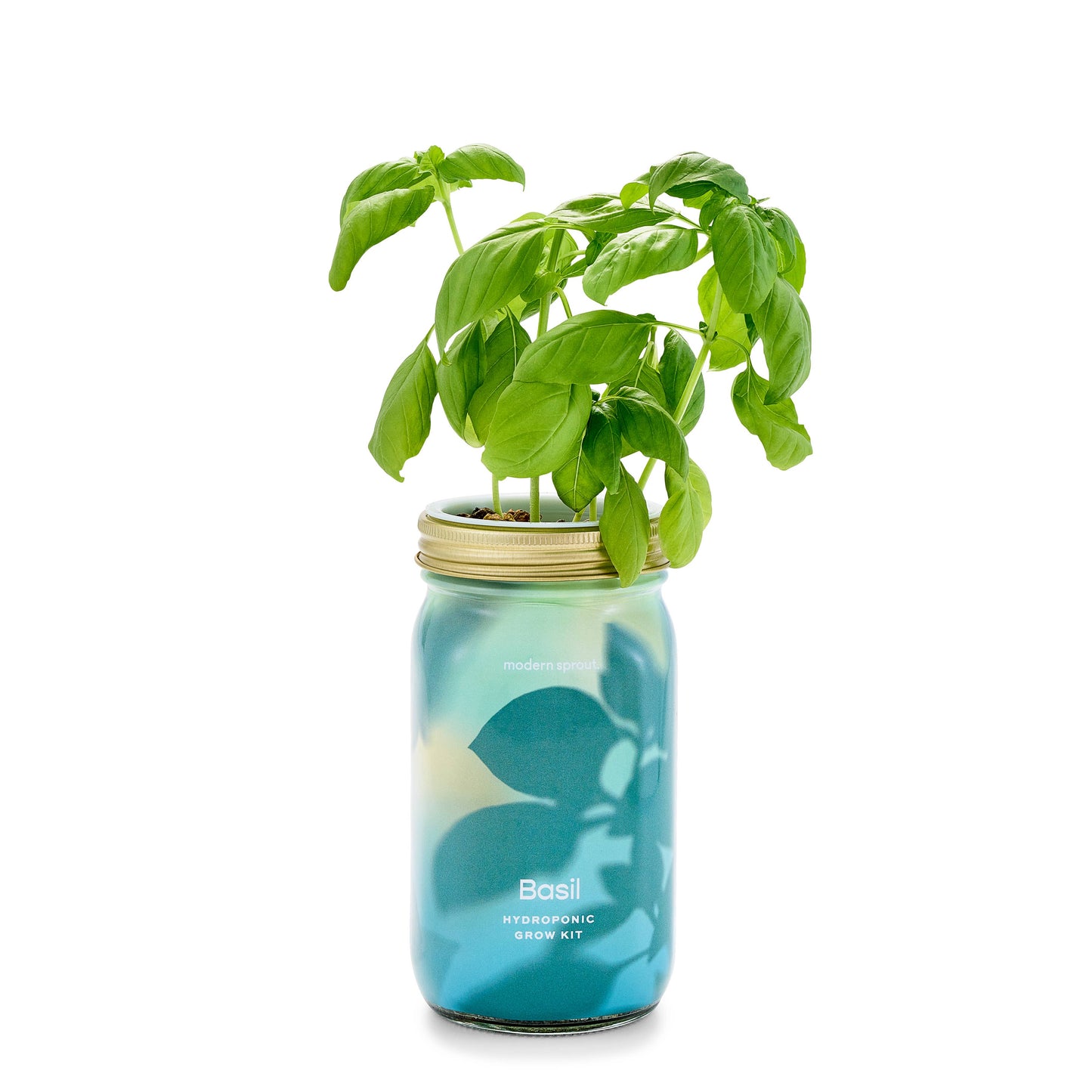 Herb Garden Jar: Rosemary