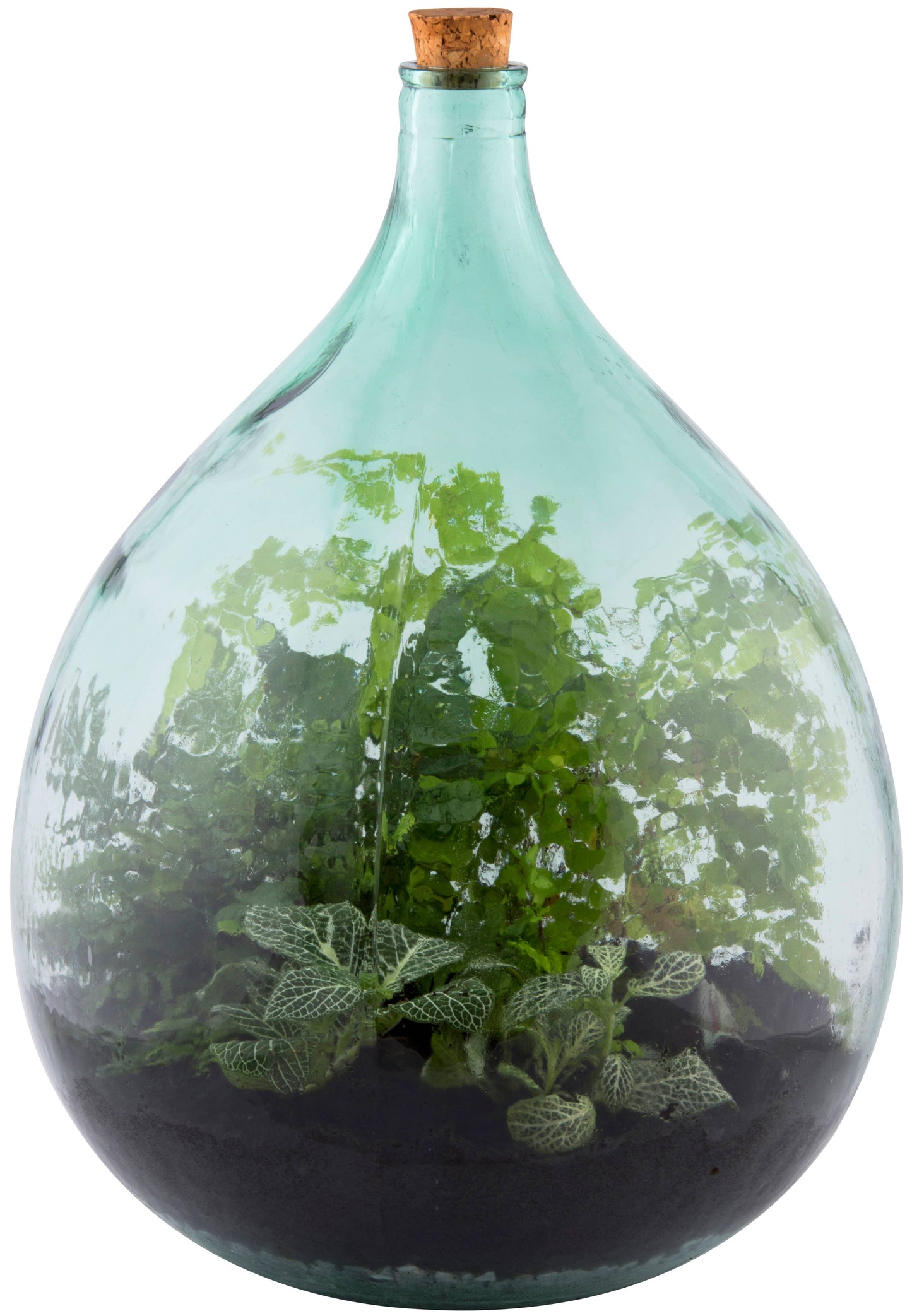 Terrarium Bottle w/Tools, 35 L, Glass, Green - Large