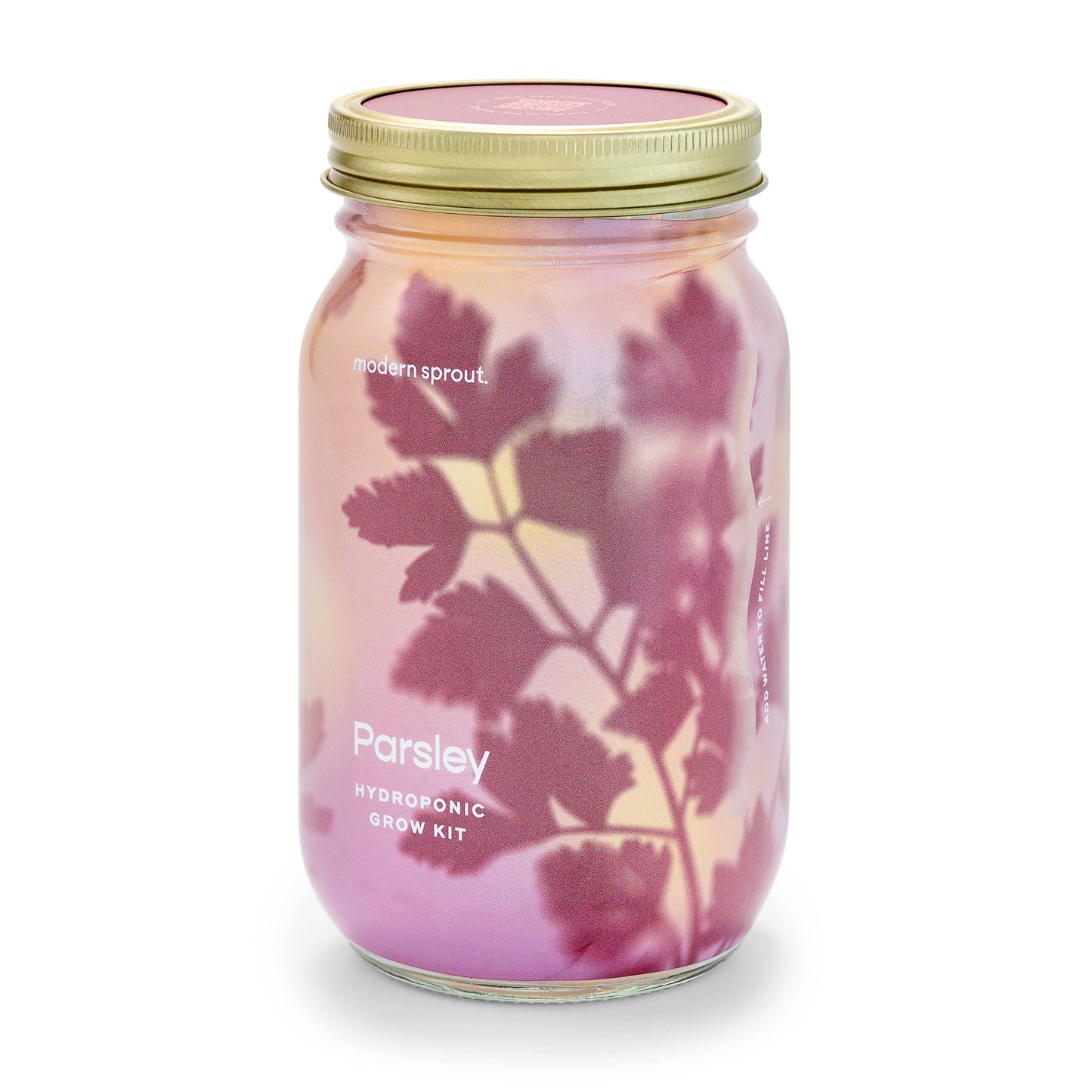 Herb Garden Jar: Lavender