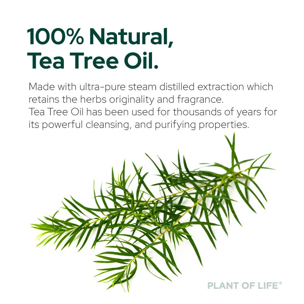 Tea Tree Oil for Aromatherapy, Skincare and Haircare | Sizes: 2oz