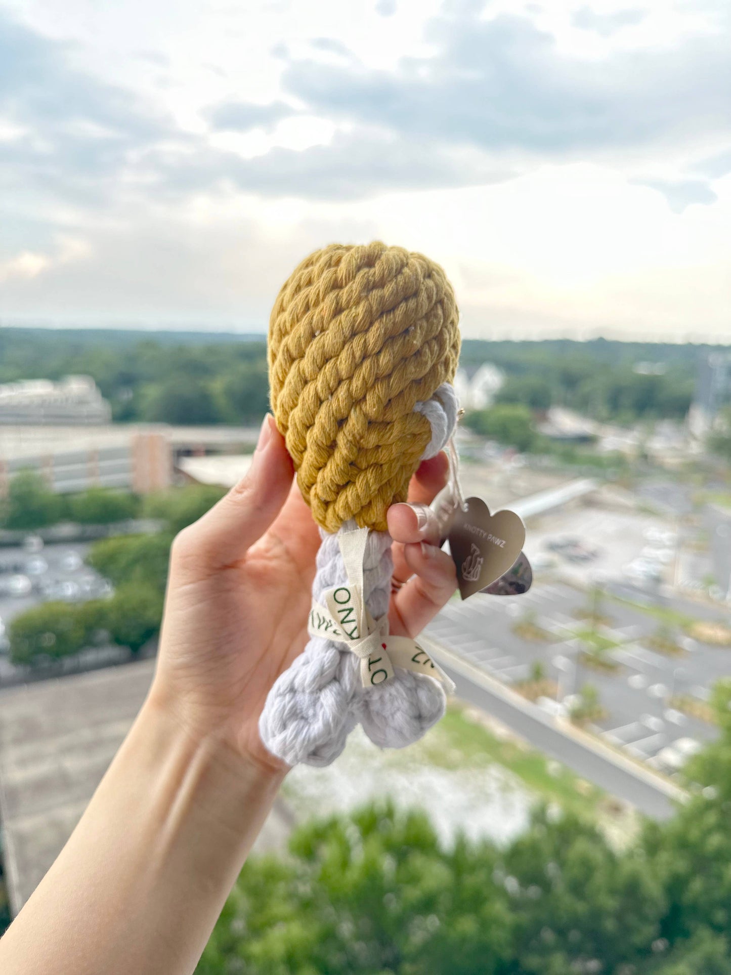 Clucky Drumstick Dog Toy | Toys For Small and Medium  Dogs