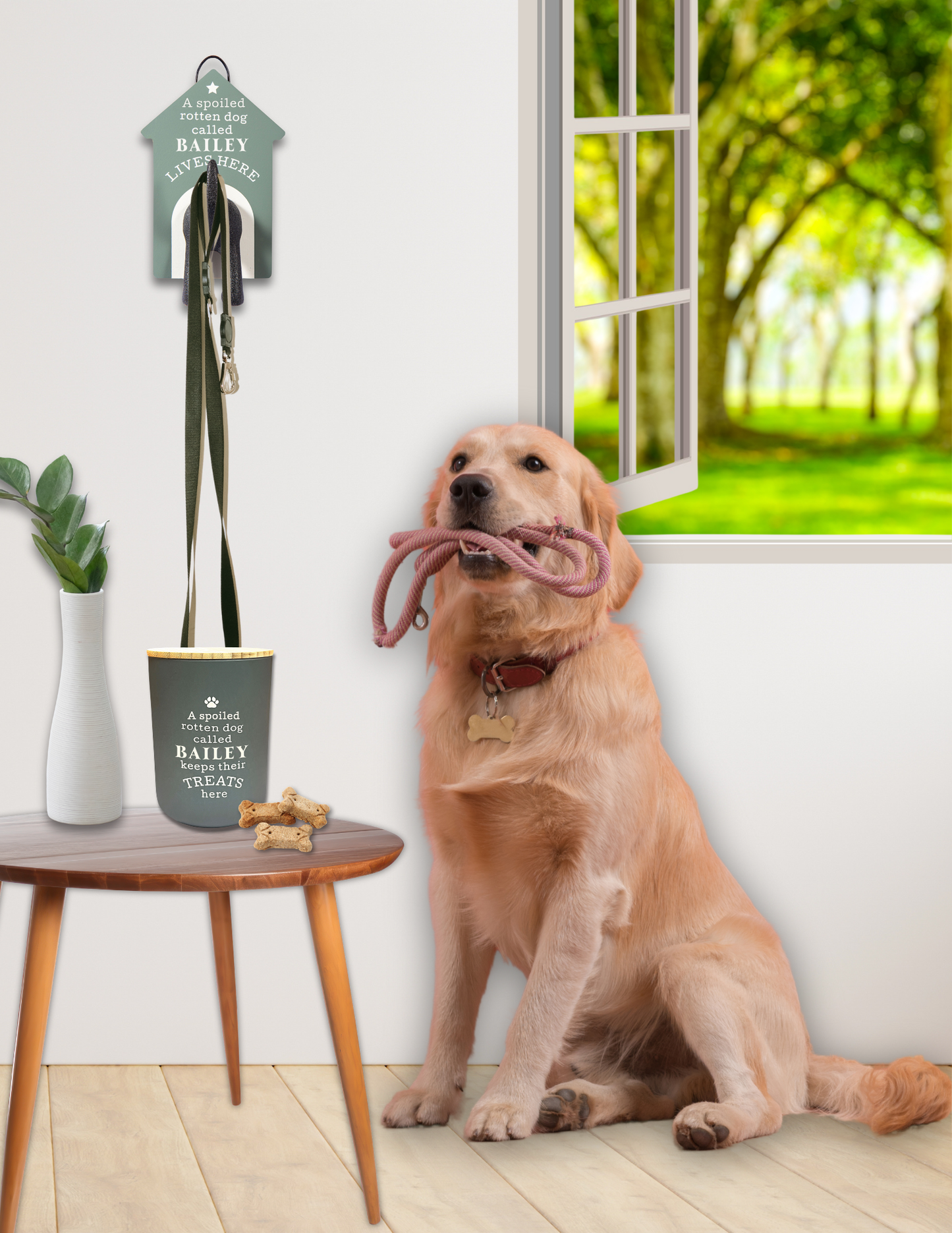 Dog Leash Hook - Blank Cream