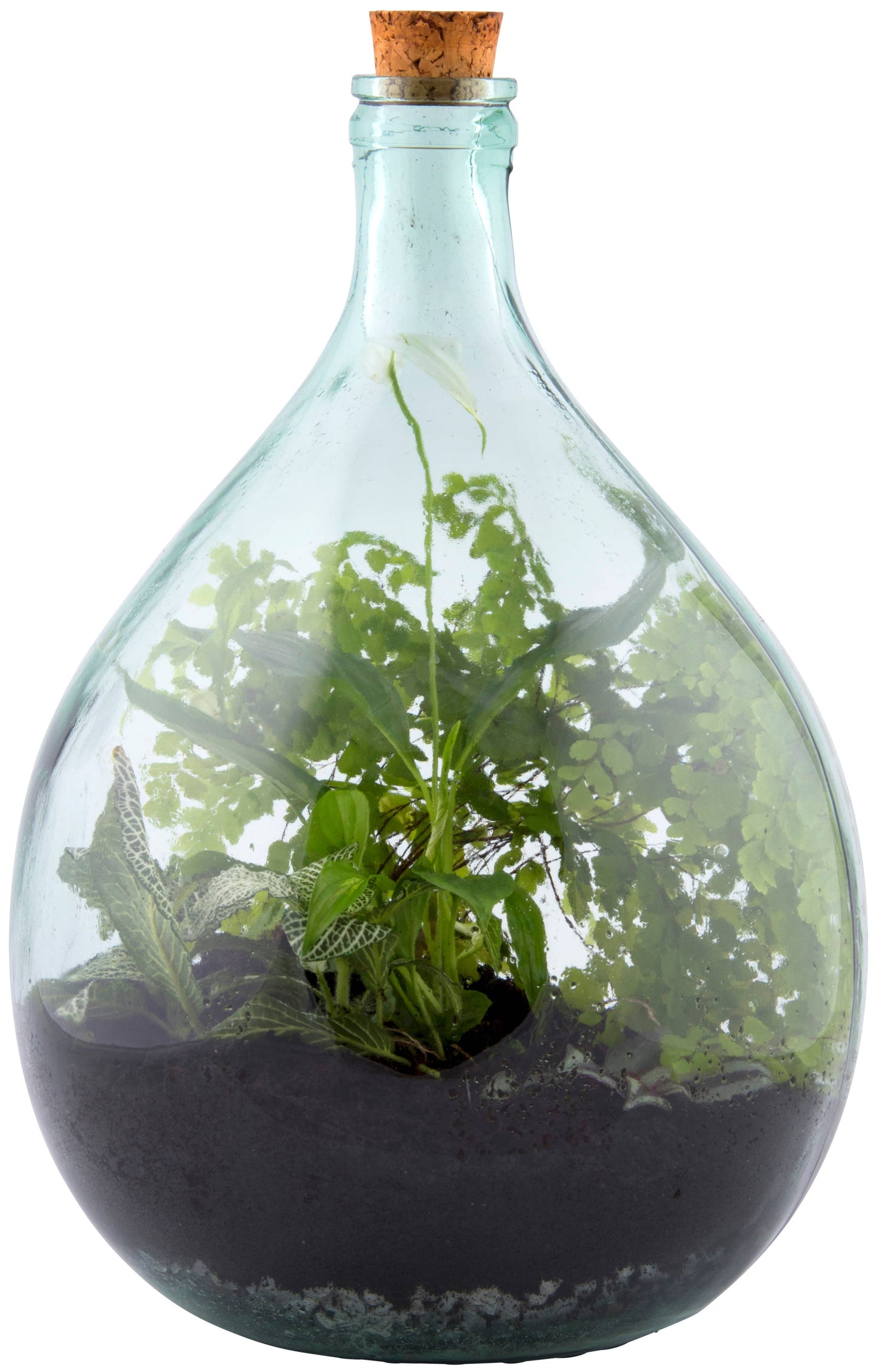 Terrarium Bottle w/Tools, 15 L, Glass, Green - Medium