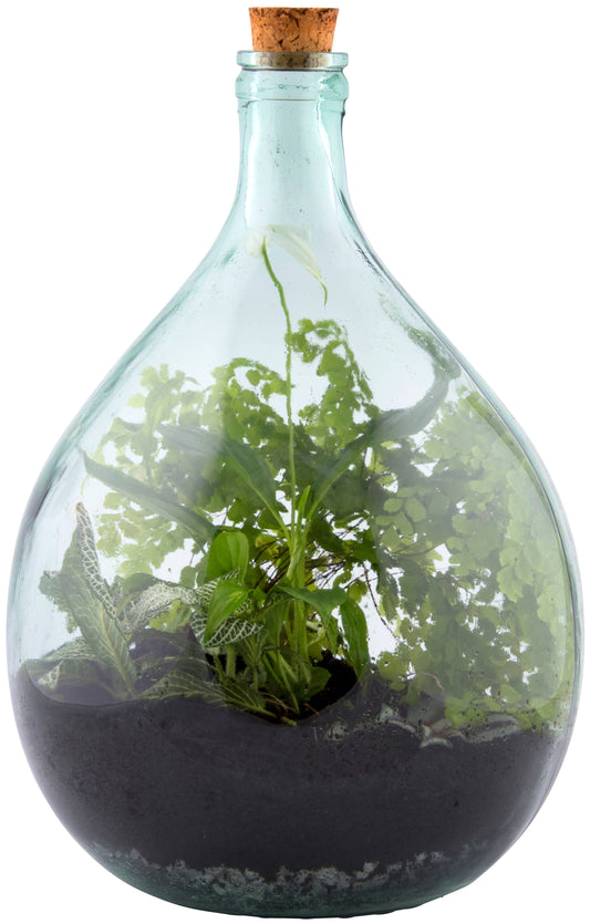 Terrarium Bottle w/Tools, 15 L, Glass, Green - Medium