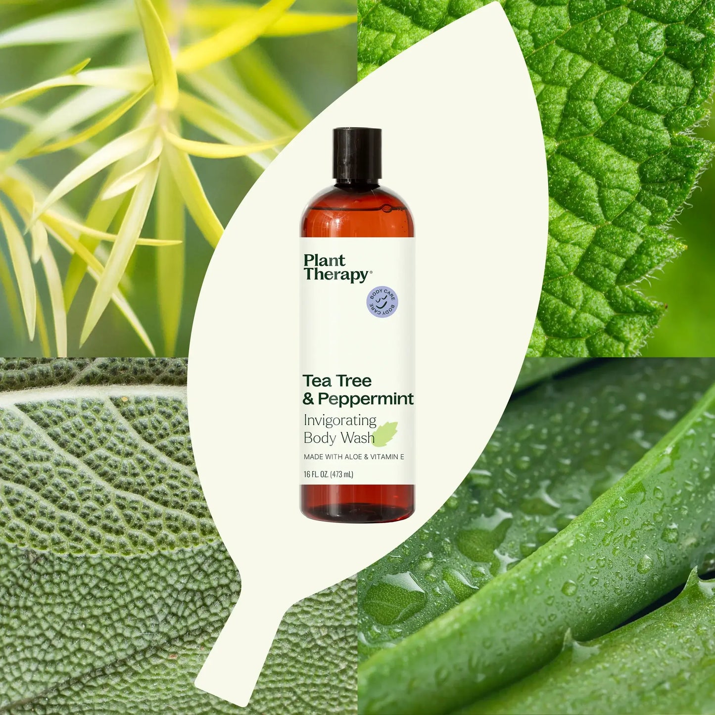Tea Tree and Peppermint Natural Body Wash 16 oz