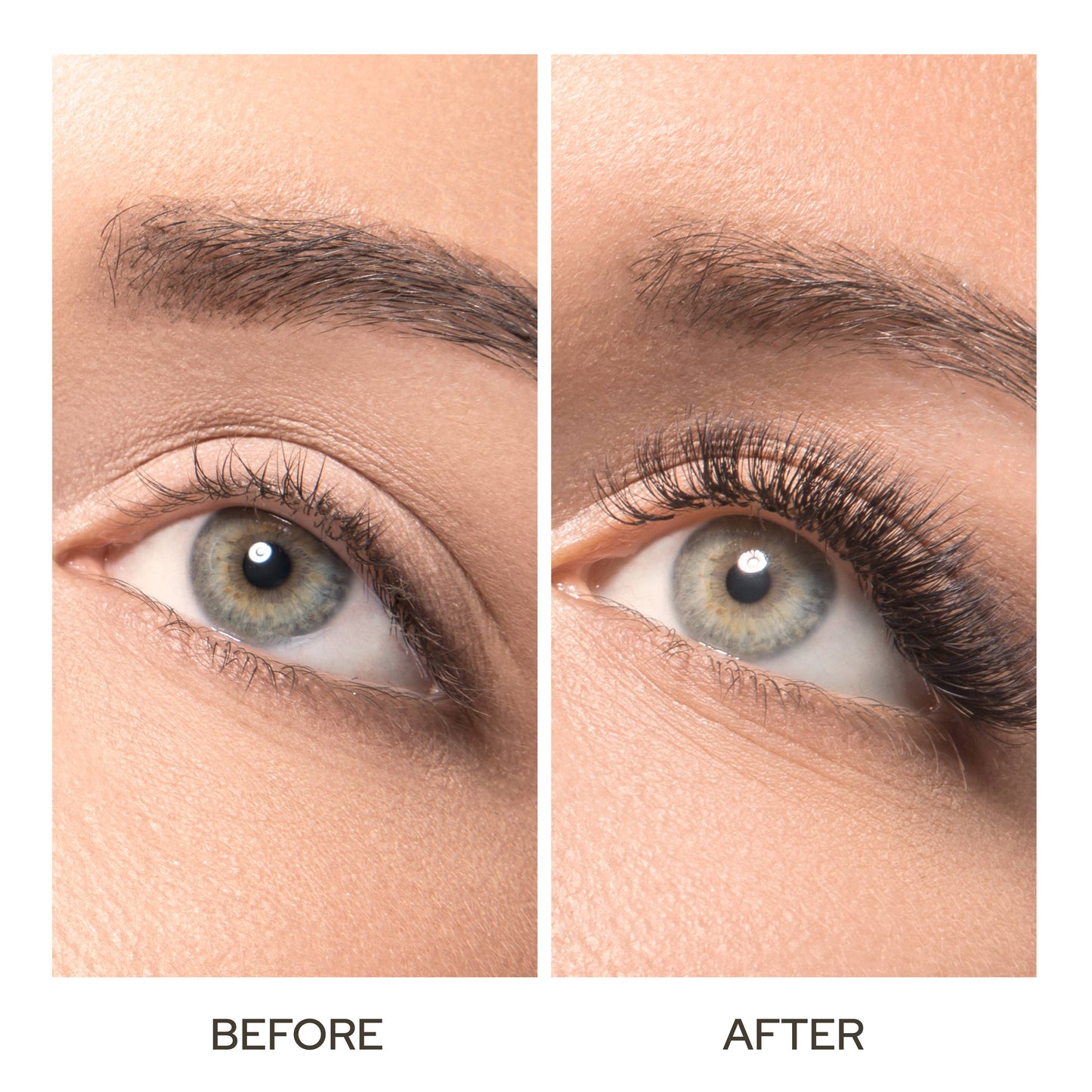 Castor Oil | Organic | Hair & Eyebrow Strengthen & Nourish