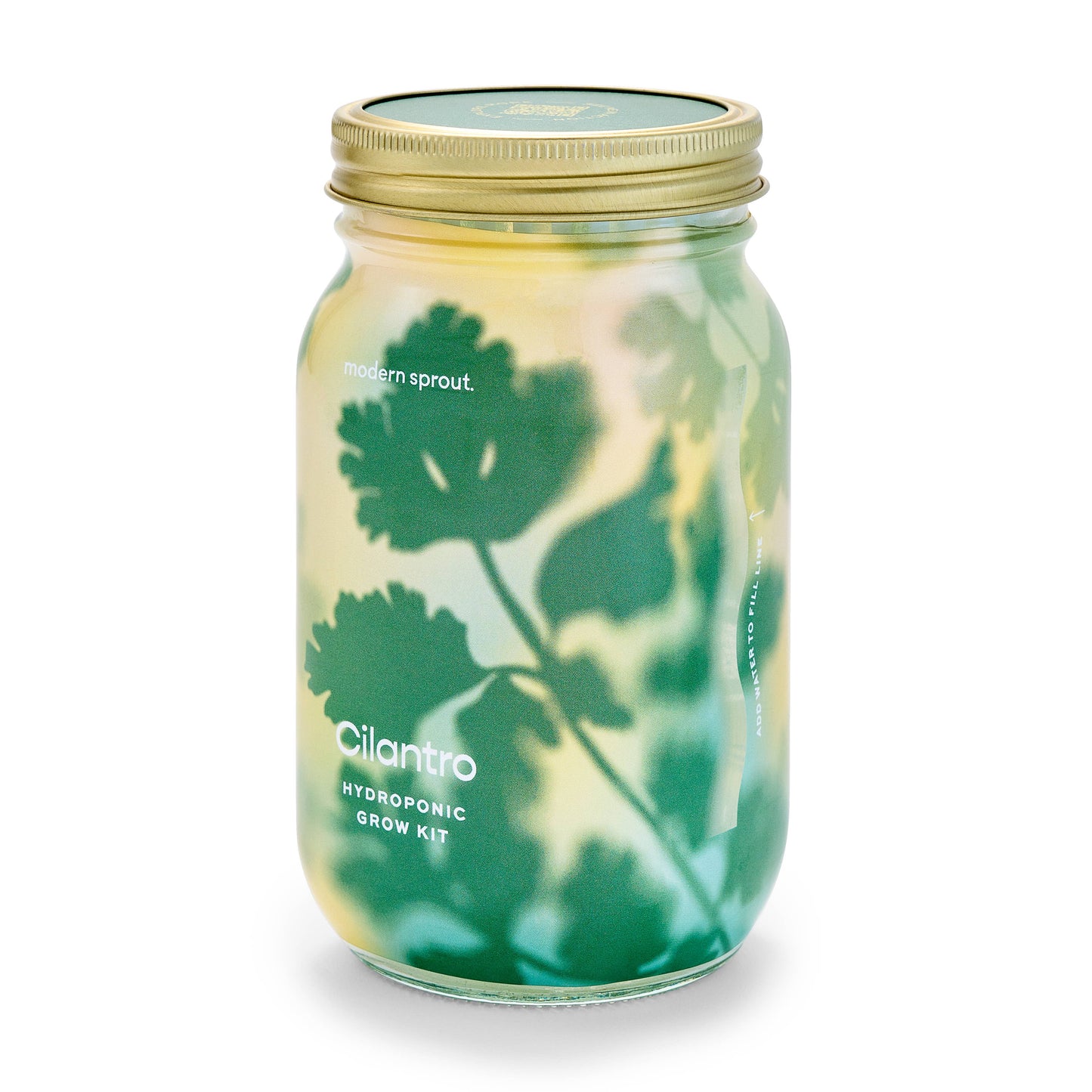 Herb Garden Jar: Lavender