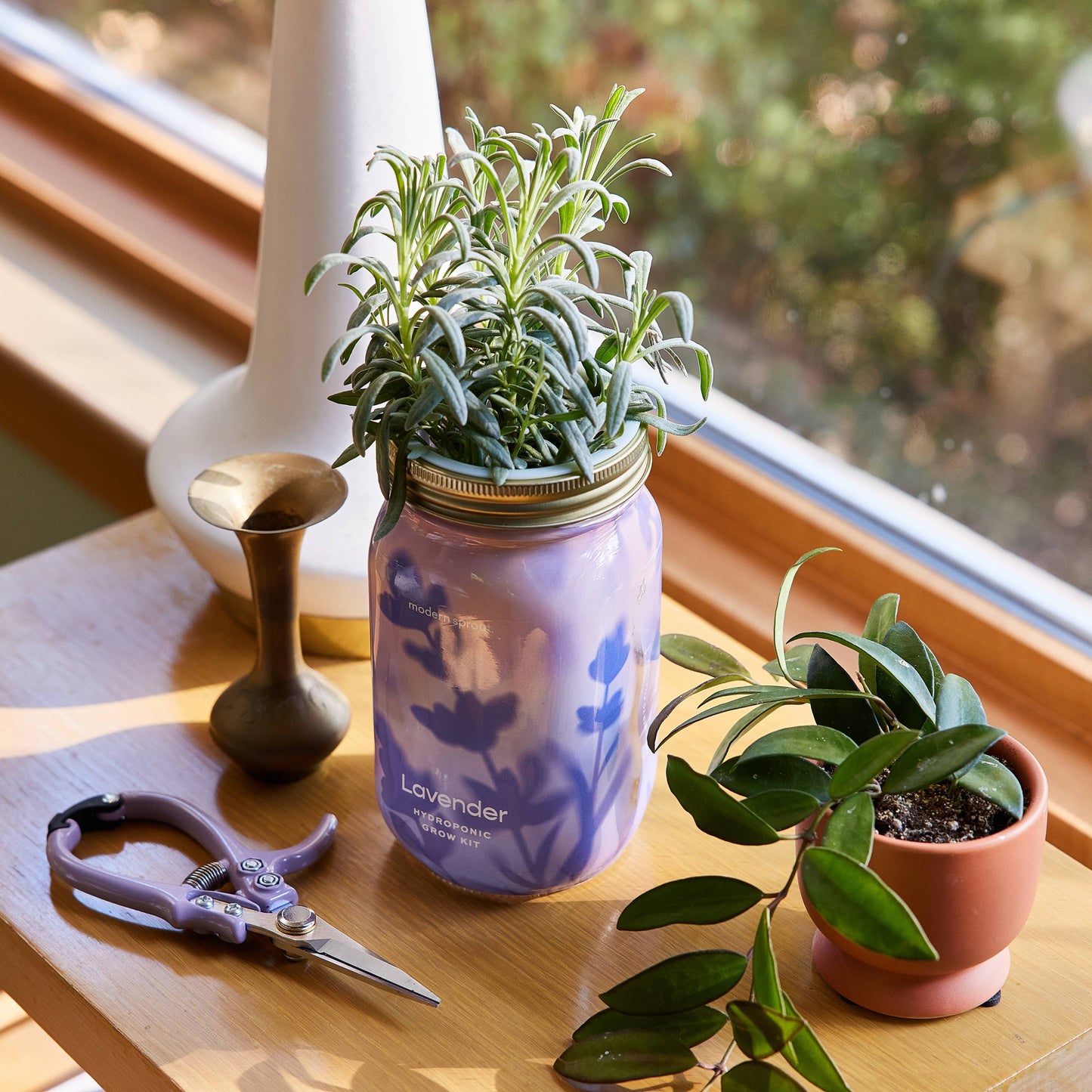 Herb Garden Jar: Rosemary