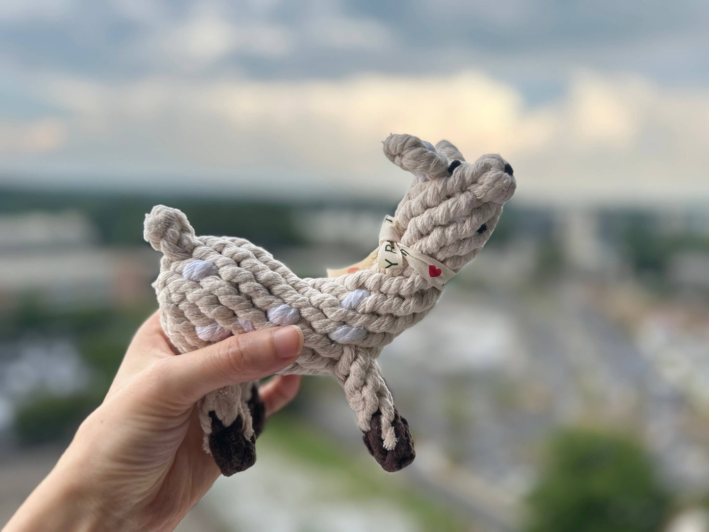 Happy Llama Dog Toy | Toys For Small and Medium  Dogs