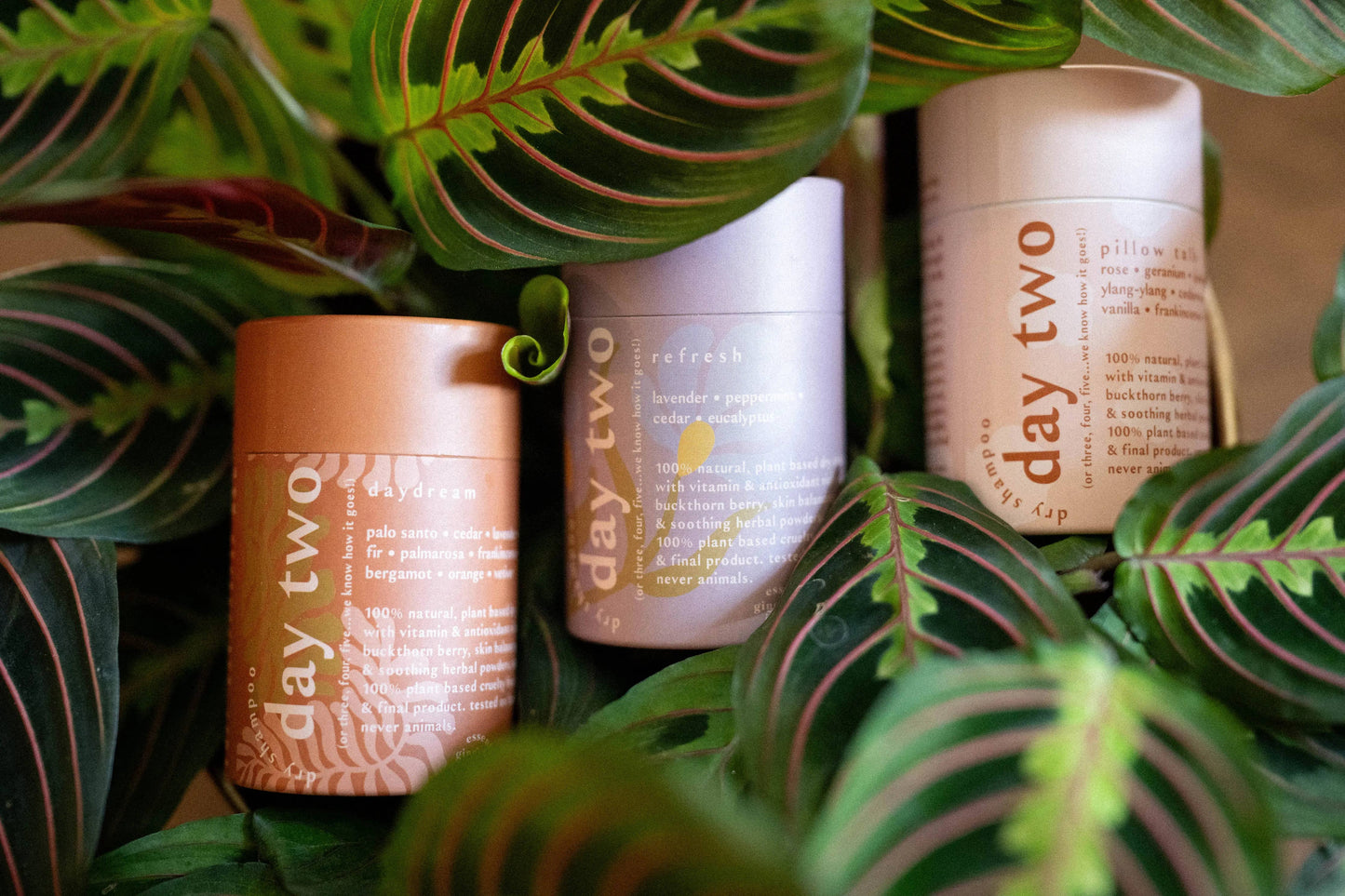 Day two • 100% natural dry shampoo: LEMONGRASS EUCALYPTUS