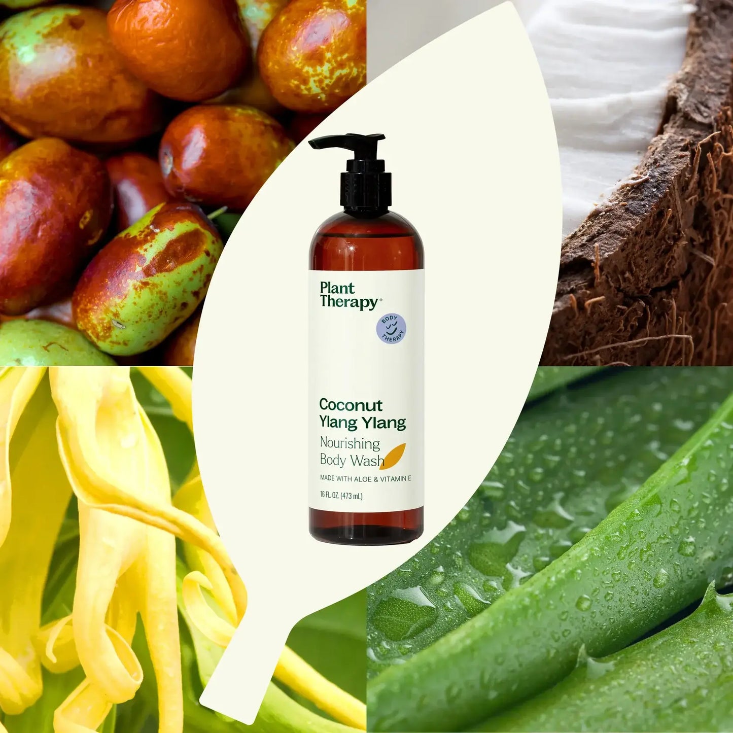Coconut Ylang Ylang Body Wash 16 oz