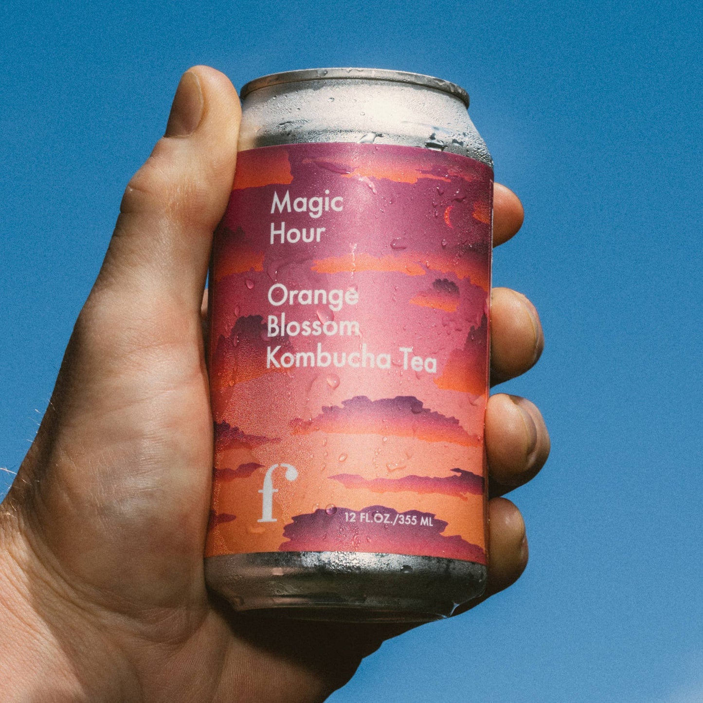 Mixed-Flavor Case -  6 cans of each of our four core flavors