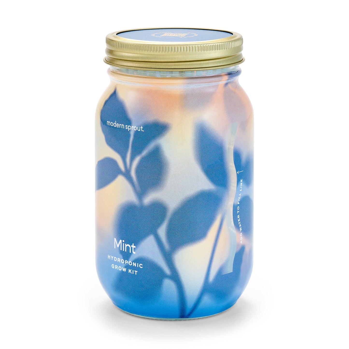 Herb Garden Jar: Lavender