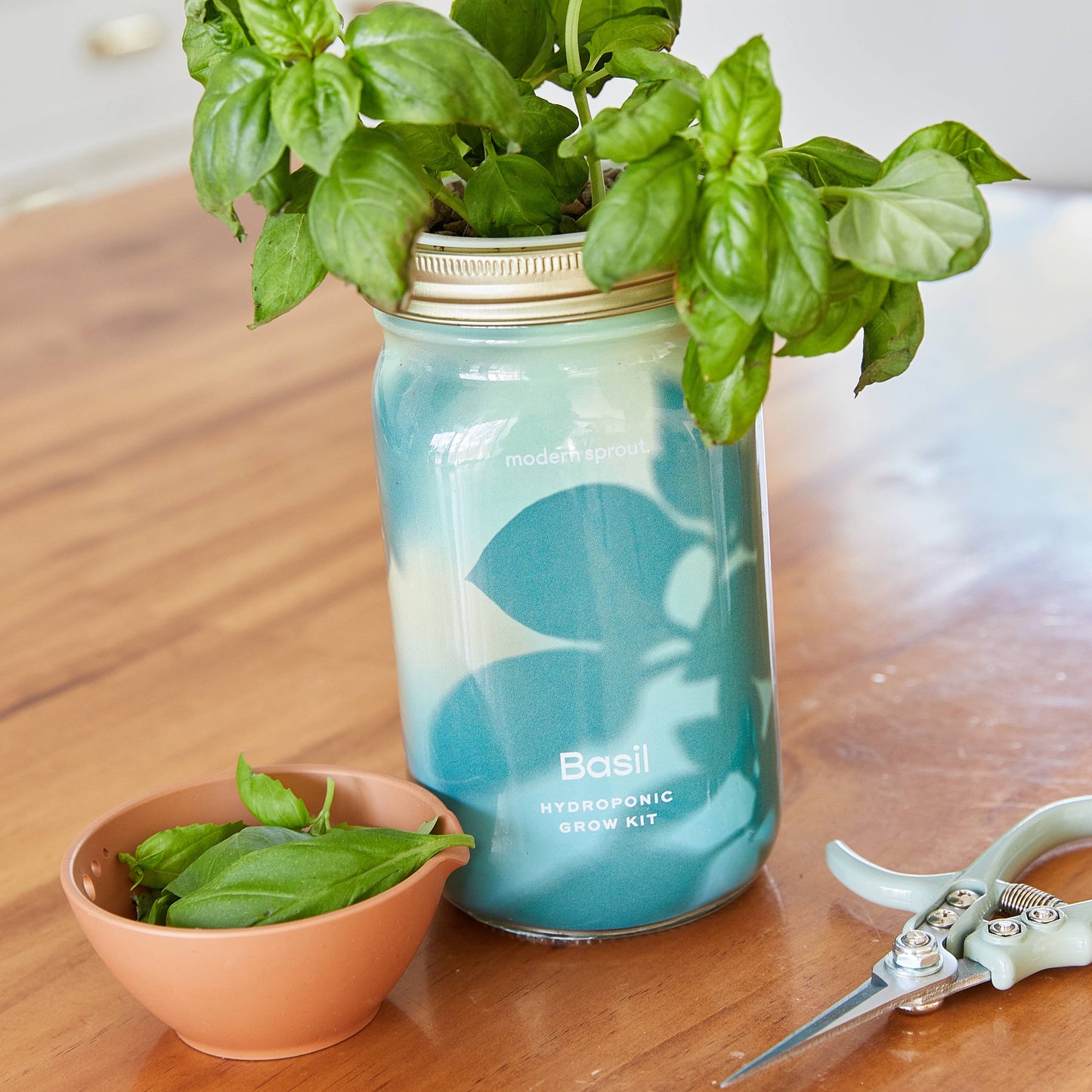 Herb Garden Jar: Lavender