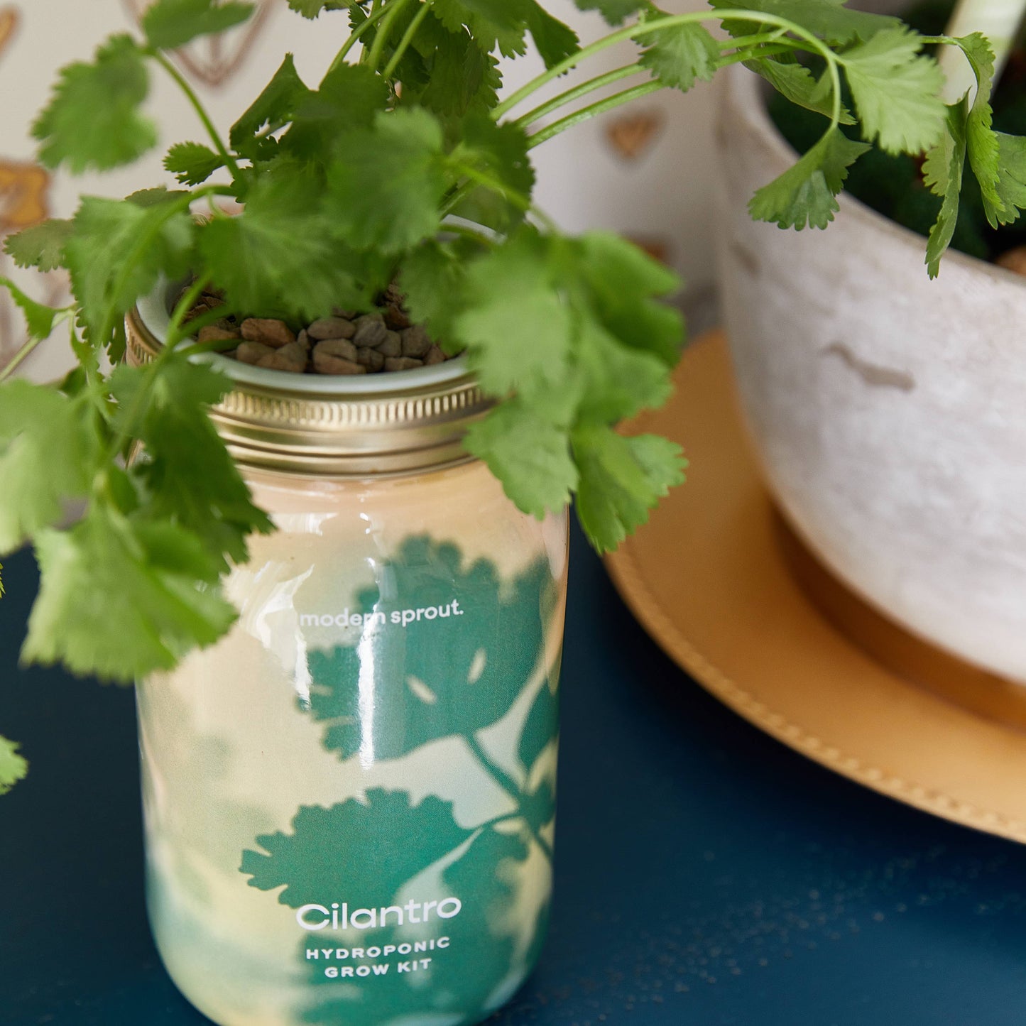 Herb Garden Jar: Lavender