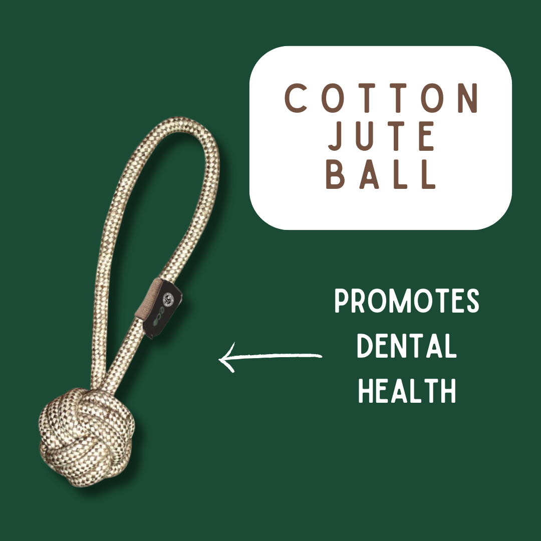 New Cotton Rope Toys! Variety of Styles to choose from!: