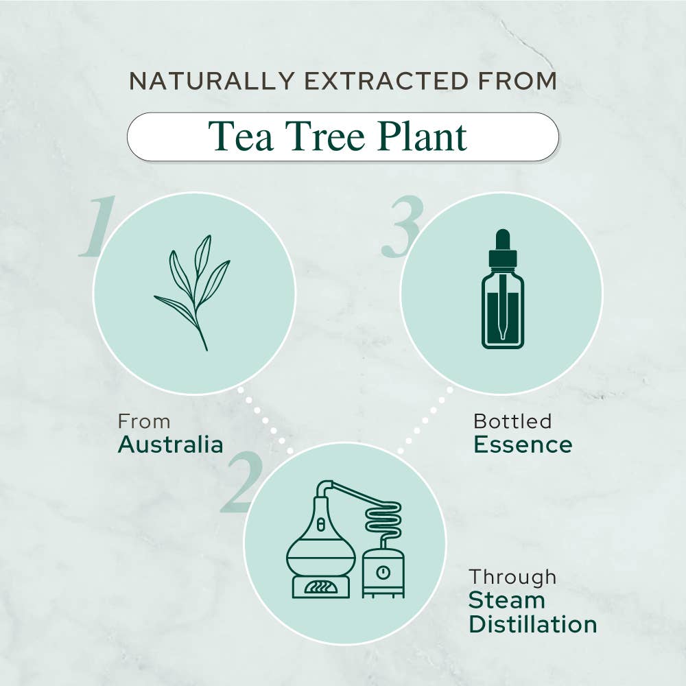 Tea Tree Oil for Aromatherapy, Skincare and Haircare | Sizes: 2oz